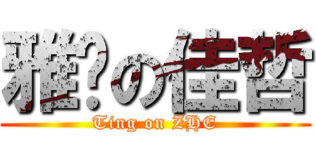 雅婷の佳哲 (Ting on ZHE)