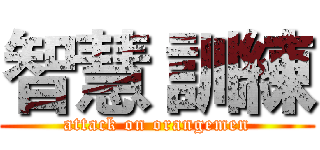 智慧 訓練 (attack on orangemen)