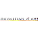 Ｂａｔａｉｌｌｏｎ ｄ'ｅｘｐｌｏｒａｔｉｏｎ (legendary roleplay)
