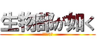 生物部が如く (特別棟3階)