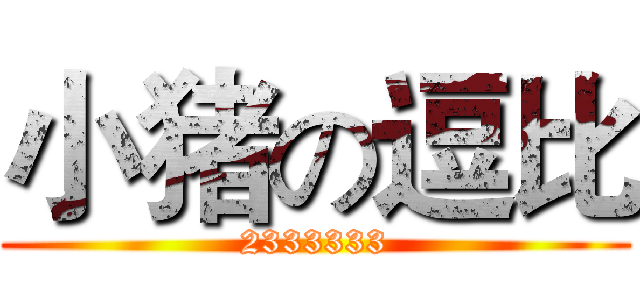 小猪の逗比 (2333333)