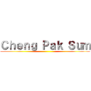 Ｃｈｅｎｇ Ｐａｋ Ｓｕｍ ()