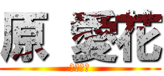 原 愛花 (元気な女)