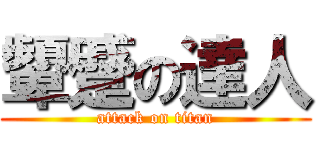 顰蹙の達人 (attack on titan)