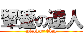 顰蹙の達人 (attack on titan)