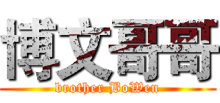 博文哥哥 (brother BoWen)