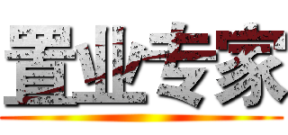 置业专家 ()