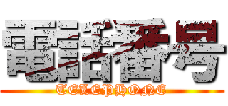 電話番号 (TELEPHONE)