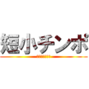 短小チンポ (あなたのあそこ)