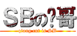 ＳＢの强哥 (qiang cut is SB)