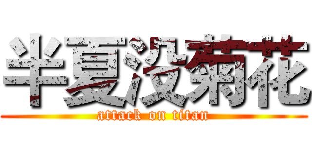 半夏没菊花 (attack on titan)