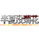 半夏没菊花 (attack on titan)