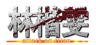 林楷雯 (attack on titan)