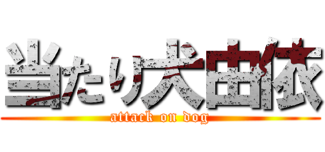 当たり犬由依 (attack on dog)