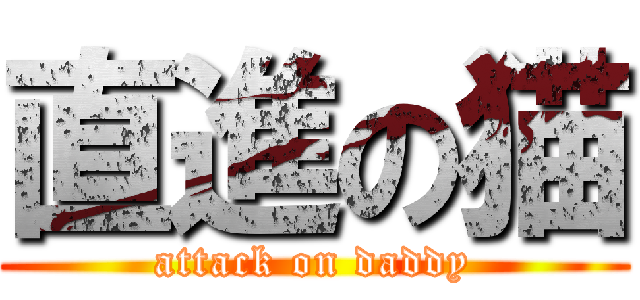 直進の猫 (attack on daddy)