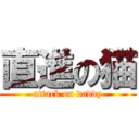 直進の猫 (attack on daddy)