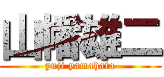 山幡雄二 (yuji yamahata)