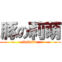 豚の莉萌 (bububu)