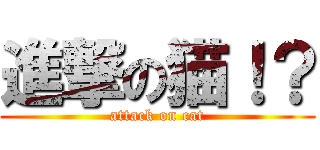 進撃の猫！？ (attack on cat)