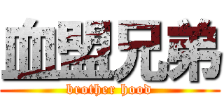 血盟兄弟 (brother hood)