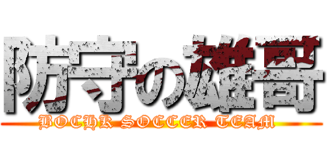 防守の雄哥 (BOCHK SOCCER TEAM )