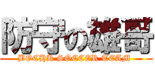 防守の雄哥 (BOCHK SOCCER TEAM )