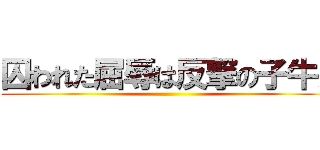 囚われた屈辱は反撃の子牛だ ()