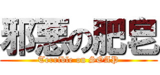 邪悪の肥皂 (Terrible on SOAP)