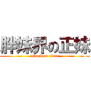 胖妹界の正妹 (attack on titan)