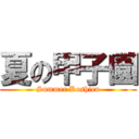 夏の甲子園 (Summer Koshien)