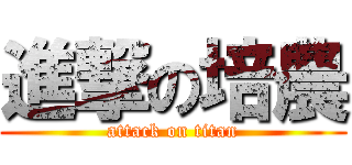 進撃の培農 (attack on titan)