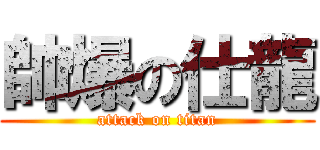 帥爆の仕龍 (attack on titan)