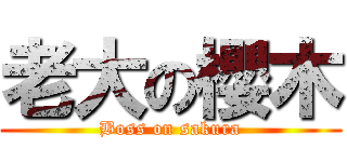 老大の櫻木 (Boss on sakura)