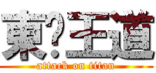 東婷王道 (attack on titan)