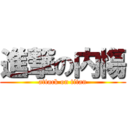 進撃の内慯 (attack on titan)