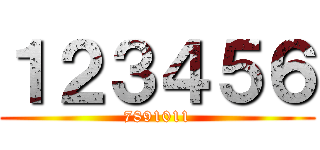 １２３４５６ (7891011)