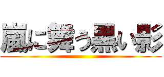 嵐に舞う黒い影 ()
