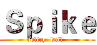 Ｓｐｉｋｅ (volley  ball  )