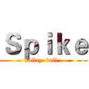 Ｓｐｉｋｅ (volley  ball  )