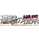 進擊の橙果 (attack on sister)