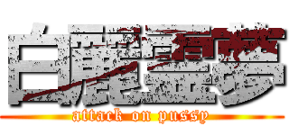 白麗霊夢 (attack on pussy)