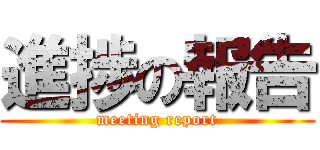 進捗の報告 (meeting report)