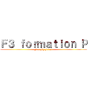 Ｆ３ ｆｏｒｍａｔｉｏｎ Ｐ (Free Fly Friend)