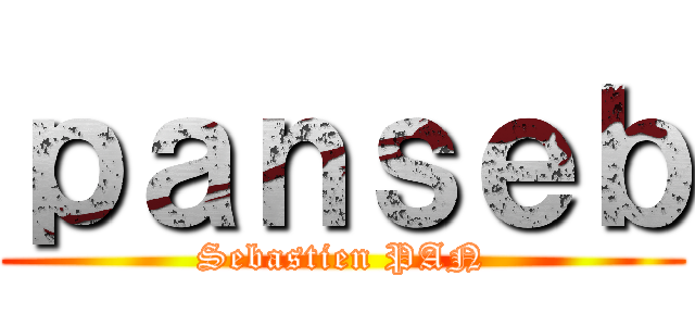 ｐａｎｓｅｂ (Sebastien PAN)