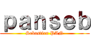 ｐａｎｓｅｂ (Sebastien PAN)