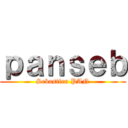 ｐａｎｓｅｂ (Sebastien PAN)
