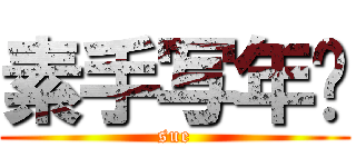 素手写年华 (sue)