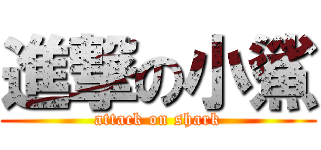 進撃の小鯊 (attack on shark)