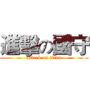 進擊の國守 (attack on titan)