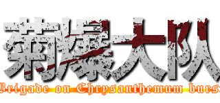 菊爆大队 ( Brigade on Chrysanthemum burst)